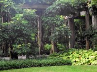 photos 2000-200902537